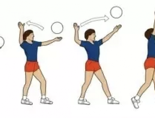 Muscle Activation During the Volleyball Serve